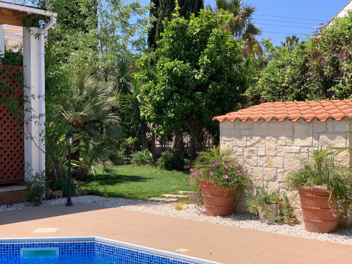 Beach Villa Sofia نيو تشوريو المظهر الخارجي الصورة