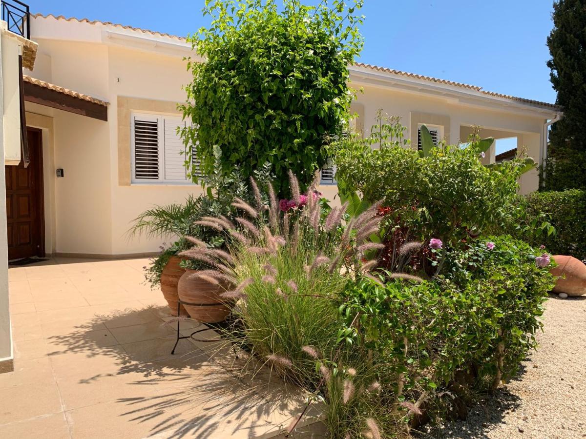 Beach Villa Sofia نيو تشوريو المظهر الخارجي الصورة