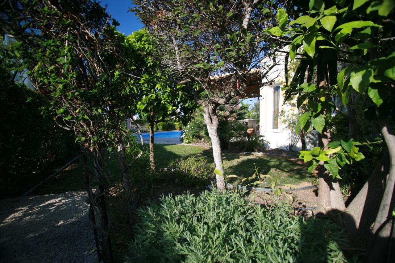 Beach Villa Sofia نيو تشوريو المظهر الخارجي الصورة