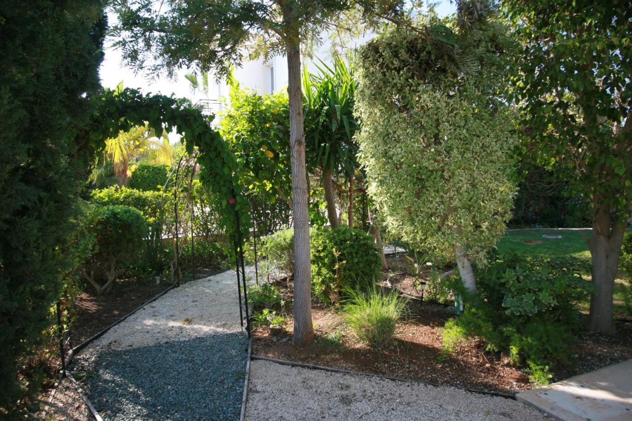 Beach Villa Sofia نيو تشوريو المظهر الخارجي الصورة
