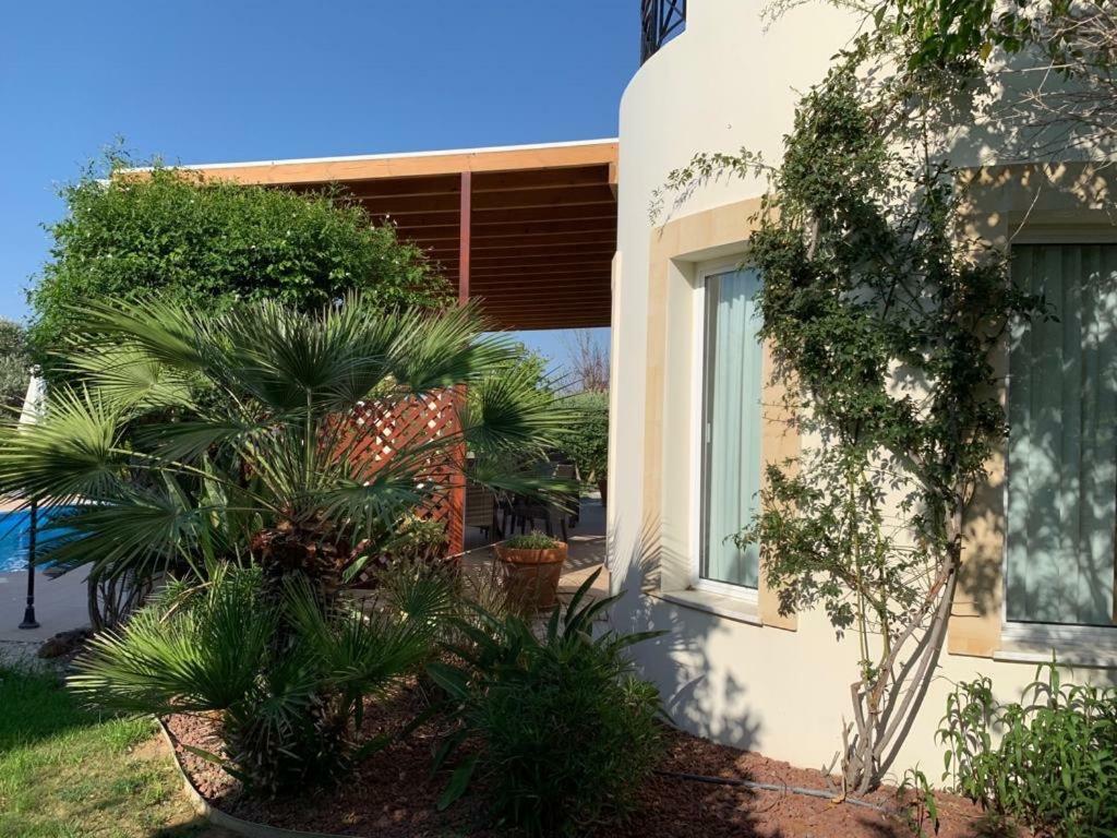 Beach Villa Sofia نيو تشوريو المظهر الخارجي الصورة